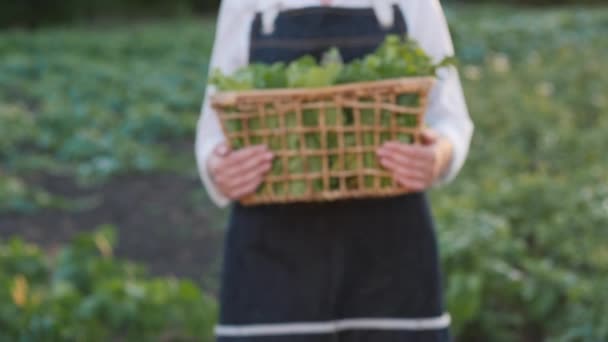 Uma agricultora mostra uma cesta de verduras recolhidas no campo. — Vídeo de Stock