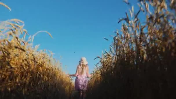Щаслива дівчина біжить на пшеничному полі. Відеозйомка під низьким кутом — стокове відео