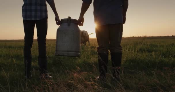 Dois pecuaristas carregam um bidome para o leite através do pasto, vá para a vaca que pastoreia lá — Vídeo de Stock