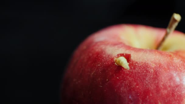 Un vil gusano blanco saldrá de la jugosa manzana roja — Vídeo de stock