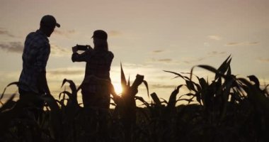 İki çiftçi mısır tarlasında çalışıyor, akıllı telefonuyla fotoğraf çekiyor.