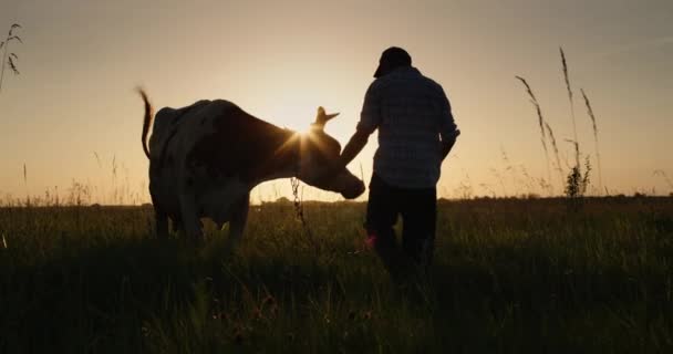 農夫は日没時に牧草地を通って牛を導く。小規模農家のコンセプト — ストック動画
