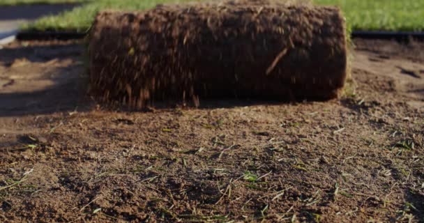 Eine Rasenrolle rollt in Richtung Kamera. Landschaftsbau — Stockvideo