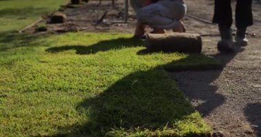 Bir grup işçi evin bahçesine yuvarlanmış bir çim seriyor.