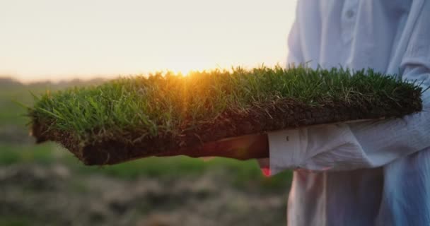 Un homme en vêtements blancs tient un morceau de terre où pousse l'herbe verte. Écologie et respect de la nature concept — Video