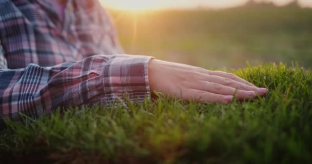 Женская рука гладит зеленые побеги травы. Концепция естественности и экологичности — стоковое видео