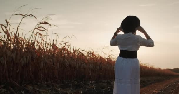 トウモロコシ畑の中を歩いている女性農家。 — ストック動画