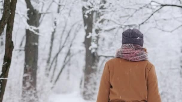 Widok z tyłu Stylowa kobieta spacery po zaśnieżonym parku — Wideo stockowe