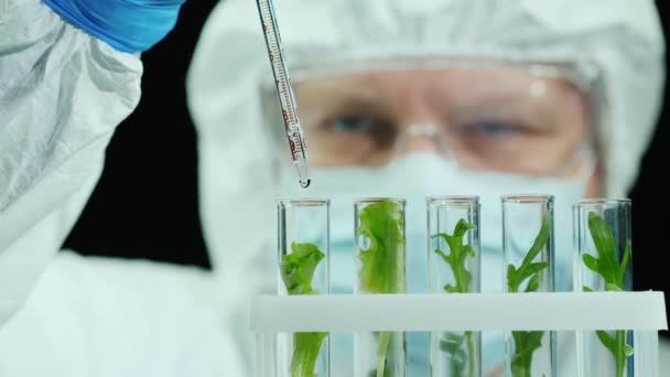 Wissenschaftler in Schutzanzug und Brille arbeitet im Labor mit Pflanzenproben — Stockvideo