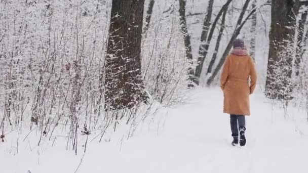 Вид сзади Молодая женщина гуляет в зимнем парке — стоковое видео