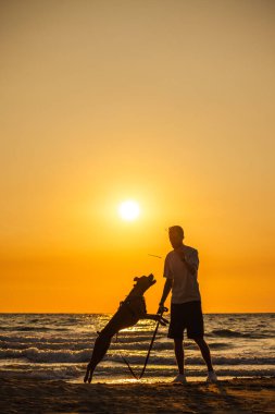 İnsanlar okyanus kıyısındaki canlı günbatımında sopayla oynarken köpek sahilde sıçrıyor. Yüksek kalite fotoğraf