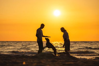 Deniz kenarında canlı bir günbatımında köpekleriyle oynayan çift. Yüksek kalite fotoğraf