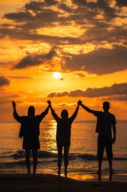Gün doğumunda plajda kollarını kaldırıp parlayan ufukta uçan bir martı izleyen üç kişi. Yüksek kalite fotoğraf