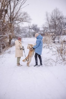 Kırsal kesimde kar yürüyüşü yapan bir Golden Retriever 'ı olan iki kişi. Büyük köpek arka ayakları üzerinde durup birini selamlarken diğeri tasmayı tutuyor. Yüksek kalite fotoğraf