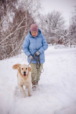 Karlı kırsal bir yolda neşeli Golden Retriever 'ıyla yürüyen yaşlı bir kadın. Kadın tasmayı tutarken köpek sevinçle ileri doğru koşuyor, karla kaplı ağaçların arasında sakin bir kış yürüyüşünün tadını çıkarıyor. Yüksek