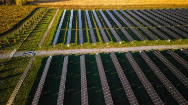 Aerial view of solar panel rows installed on green farmland generating renewable electricity in morning sunlight