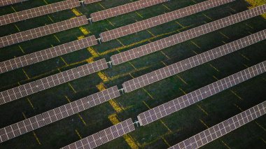 Top view of solar energy panels arranged in rows on green field illuminated by morning sunlight