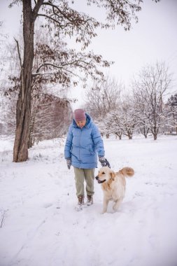 Mavi kışlık ceketli yaşlı bir kadın kırsal alanda Golden Retriever 'ıyla yürüyor. O, kış ağaçlarıyla çevrili dışarıda sakin bir anın tadını çıkarırken köpek onun yanında mutlu bir şekilde yürüyor.