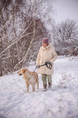 Karlı kırsal bir yolda Golden Retriever 'ında yürüyen yaşlı bir kadın. Kadın tasmayı tutar ve köpeğine sıcacık bakar sakin bir kış gününün tadını çıkarırken çıplak ağaçlar ve taze karlar arasında