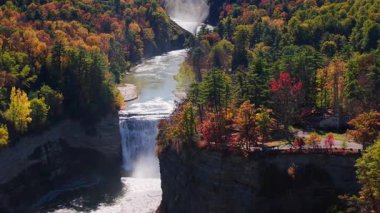 New York, Rochester yakınlarındaki Letchworth State Park kanyonunun manzaralı manzarası, sonbahar ormanıyla çevrili görkemli bir şelale. Yüksek kalite 4k görüntü