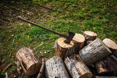 Tahta bir balta, odun parçalarının arasına gömülmüş, güneş ışığında yeşil çimlerin üzerinde. Yüksek kalite fotoğraf