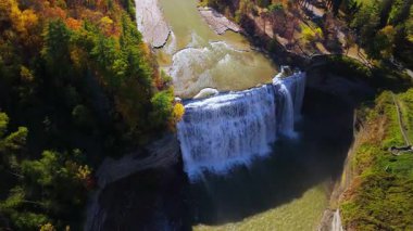 New York, Letchworth Eyalet Parkı 'ndaki görkemli şelalenin hava manzarası, canlı sonbahar yapraklarıyla çevrili. Güçlü şelale, rengarenk ormanlarla çevrili derin vadiye düşer.