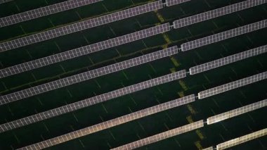 Güneş enerjisi panellerinin hava görüntüsü yeşil bir alanda düzenli paralel sıralar halinde düzenlenerek güneş ışığını temiz yenilenebilir elektriğe dönüştürüyor. Yüksek kalite 4k görüntü