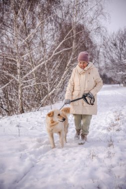 Kırsalda karla kaplı bir patika boyunca Golden Retriever 'ında yürüyen yaşlı bir kadın. Kadın tasmayı tutuyor ve çıplak ağaçların arasında sessiz bir kış yürüyüşü sırasında köpeğine sıcak bir şekilde gülümsüyor. Yüksek