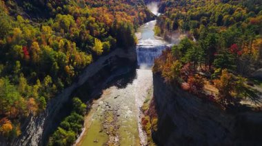 Genesee Nehri 'nin Rochester, New York yakınlarındaki Letchworth State Park kanyonundan akan havadan görüntüsü, renkli sonbahar ormanlarıyla çevrili şelaleler. Yüksek kalite 4k görüntü