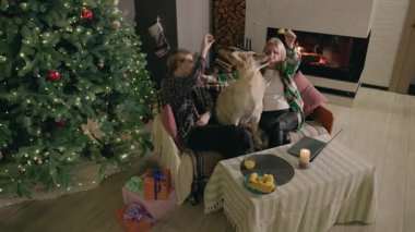 İki kadın ve bir Golden Retriever, Noel ağacı ve şöminenin yanında, köpeği besleyip şenlikli bir ev atmosferinde dinlenirken sıcacık kış anlarının tadını çıkarıyorlar. Yüksek kalite 4k görüntü