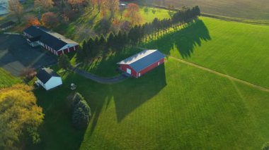 Tipik bir Amerikan tarım ambarının hava görüntüsü öğleden sonra geç saatlerde uzun gölgeli yeşil bir tarlanın yanında. Yüksek kalite 4k görüntü