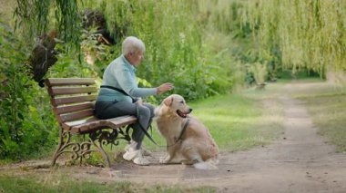 Köpeğini gezdirirken bankta dinlenen aktif son sınıf öğrencisi, sağlıklı yaşlanma tarzı, açık hava aktivitesi, arkadaşlık ve refah. Yüksek kalite 4k görüntü
