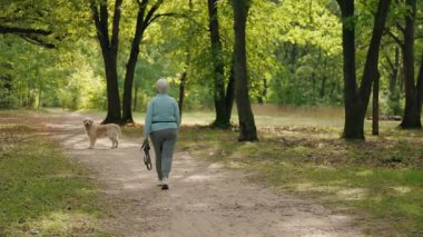 Yaşlı bir kadın elinde köpek tasmasıyla parkta orman yolunda yürüyor. Yüksek kalite 4k görüntü
