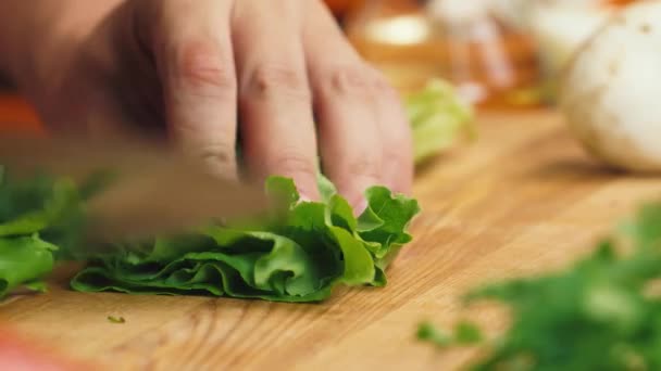 Segmenten stukken van salade — Stockvideo