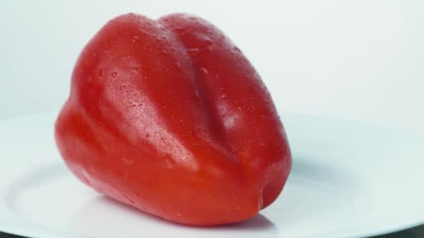 Bulgarian Red Pepper on white background — Stock Video