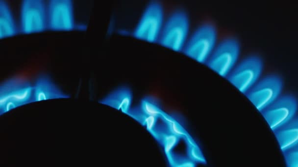 Gas-burner, burning natural gas — Stock Video