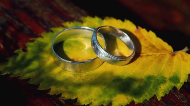 Dos anillos de boda en una sábana amarilla — Vídeos de Stock