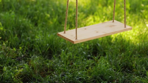 Balanço de madeira em um fundo de grama verde — Vídeo de Stock