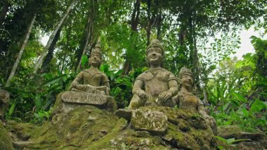 Samui 'deki Sihirli Bahçe' deki antik taş heykeller yoğun tropikal orman ve orman bitkileriyle çevrili yosunlu kayaların üzerinde dinleniyor. Yüksek kalite 4k görüntü