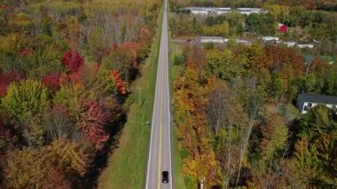 Renkli sonbahar ormanlarını kesen uzun düz bir yolun hava manzarası kırsal Amerikan manzarası boyunca giden araba, insansız hava aracı perspektifi. Yüksek kalite 4k görüntü