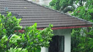 Fırtına sırasında çatıda yoğun tropikal yağmur var. Yüksek kalite 4k görüntü