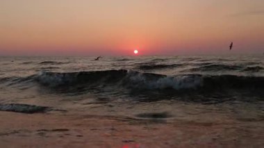 Bulgaristan 'da dalgalar ve uçan martılarla Karadeniz' in üzerinde gün doğumu.