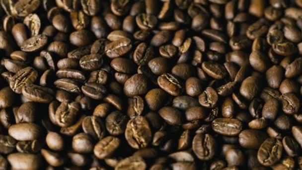 Granos de café Nicaragua Maragogype — Vídeo de stock