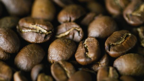 Coffee beans Nicaragua Maragogype — Stock Video