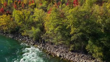 Niagara Nehri kıyı şeridi, sonbaharda renkli orman ve kayalık kıyı manzarası..