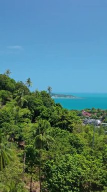 Koh Samui Tayland 'da hindistan cevizi palmiyeleri ve turkuaz deniz manzaralı tropikal yamaçlar..