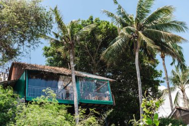 Ko Samui, Tayland, 16 Mart 2026: Koh Samui Adası Tayland 'daki palmiye ağaçları arasında küçük tropikal kafe terası