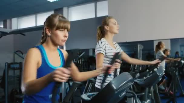 Dos mujeres atractivas son entrenadas en el gimnasio en el entrenador elíptico — Vídeo de stock