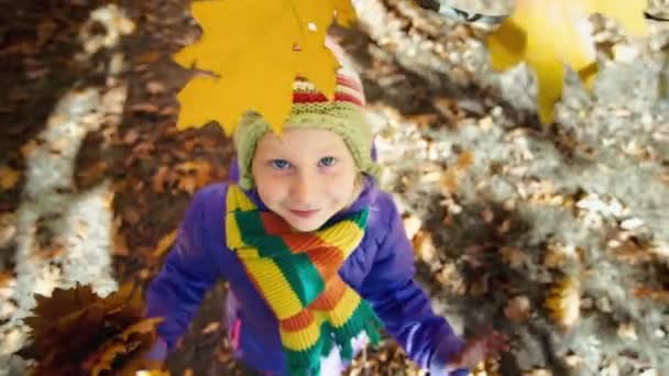 Kleines Mädchen im Herbstpark lacht und zerreißt die Blätter des Baumes — Stockvideo