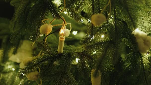 Bougies sur le sapin de Noël — Video